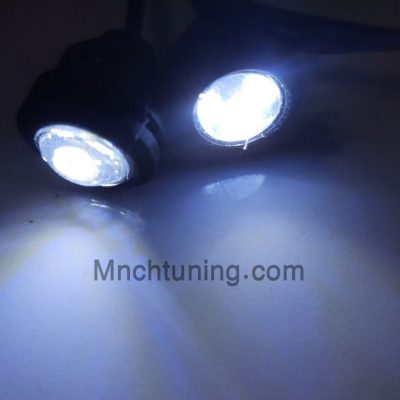 ایگل آیز تایوانی