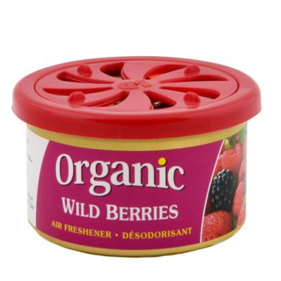 خوشبو کننده خودرو کنسروی ارگانیگ organic اصلی