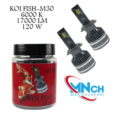 هدلایت برند منوچهری مدل کوی فیش M30 بسته 2 عددی